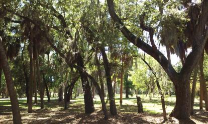 Cypress park in Tampa