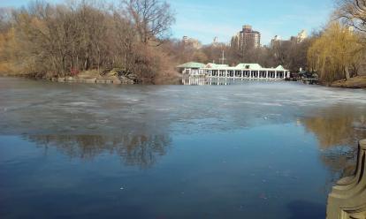 Rent a boat or watch ducks at the duck pond in Central Park. 