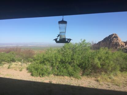 Humming bird feeders at Dripping Spring visitors center