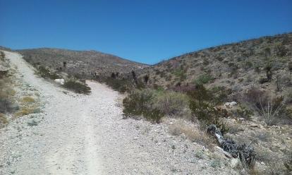 Two paths diverge on a hiking trail in El Paso. Trying the path of least resistance. 