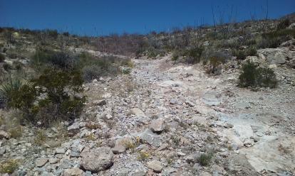 Pictures are taken from the top but the trail up is rarely remembered.