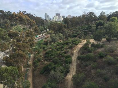 Balboa Park with the San Diego Skyline
