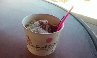 Sweet CeCe's build your own combination of frozen yogurt and treats. Raspberry and pom