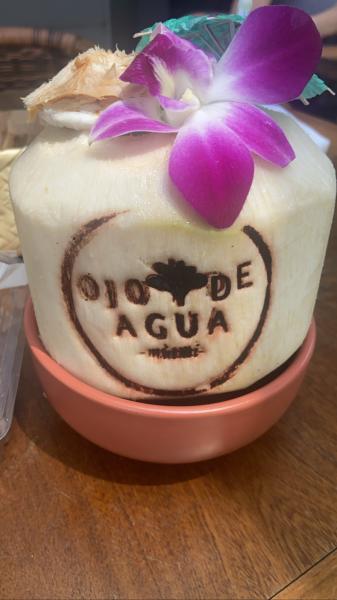 Ojo de Agua fresh coconut #food 2022