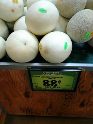 Organic honeydew melons 88 cents a pound at sprouts