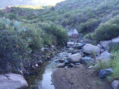 OpenNote: La Cueva Trail. This stream leads up to the waterfall in the dessert Las Cruces