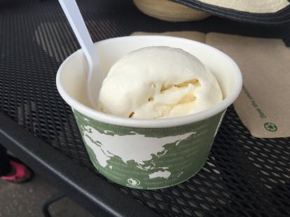 Coconut ice cream $7 for two scoops #food free wifi. A good place to go after the submarin