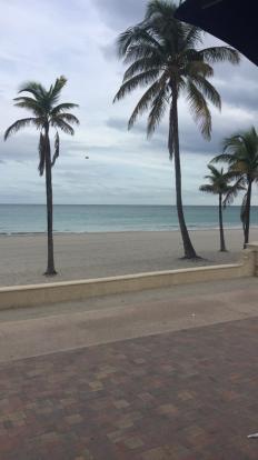 The view from the patio at Oceans 13 Sports Bar and Grill. Palm trees, beach and ocean.