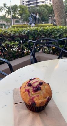 Orange and cranberry muffin at Islander Marketplace $2.60 #food