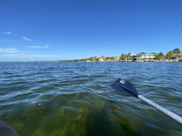 Kayak Key Largo