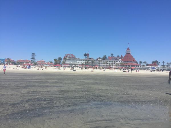 Hotel Del Coronado from the water. Never seen another beach with glittering gold sand.