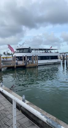 Island Queen Miami Boat Tour at Bayside