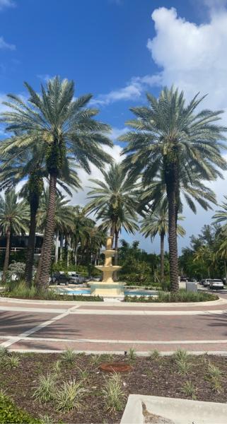 Palm Island Fountain Miami Beach