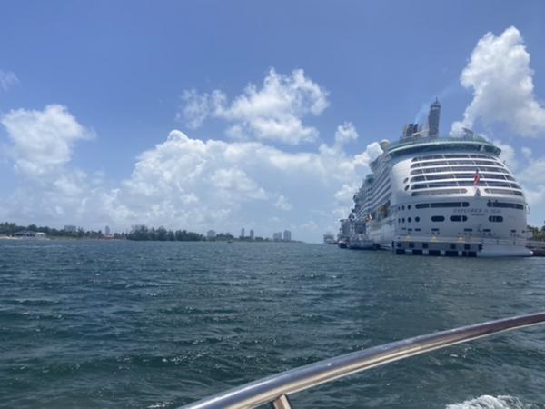 Royal Caribbean Cruiselines