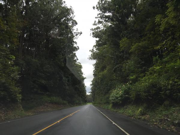 Highway 19 Hawaii
