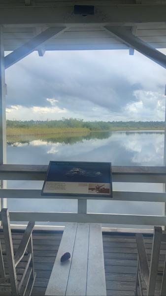 Florida Everglades National Park 2022