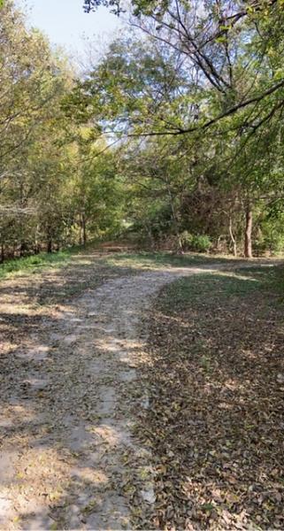 Friars Creek Trail in Temple Texas 