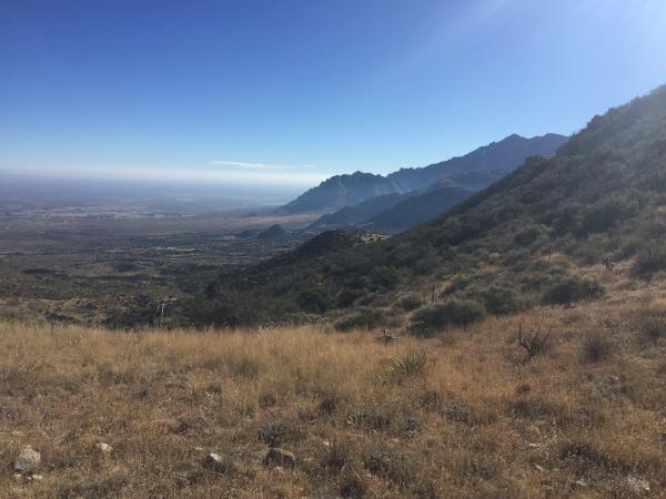 Top of Baylor Canyon hiking trail 