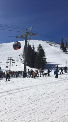 Gondola at Ski Apache which takes you up to the top of the mountain. Some beginner trails 