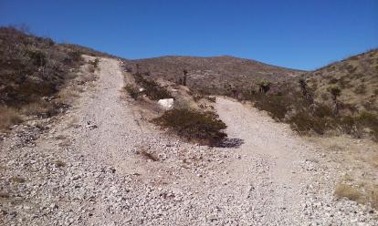 Two paths diverge in a dessert trail. Chose the higher path.
