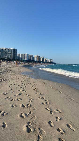 Miami Beach #coast