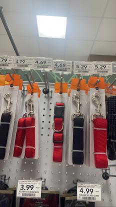 Dog leashes at Public 2022 $4.79 #dog supplies