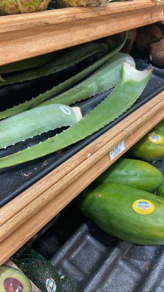 Large aloe Vera leaves 2 for $5 at Publix #grocery