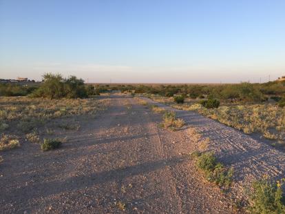 Hiking trail in Las Cruces