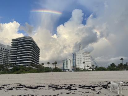 Peaches in front of the rainbow at Faena 2022 Miami Beach