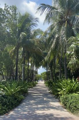 Miami Beach near 20th street