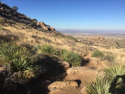 OpenNote: Baylor Canyon hiking trail